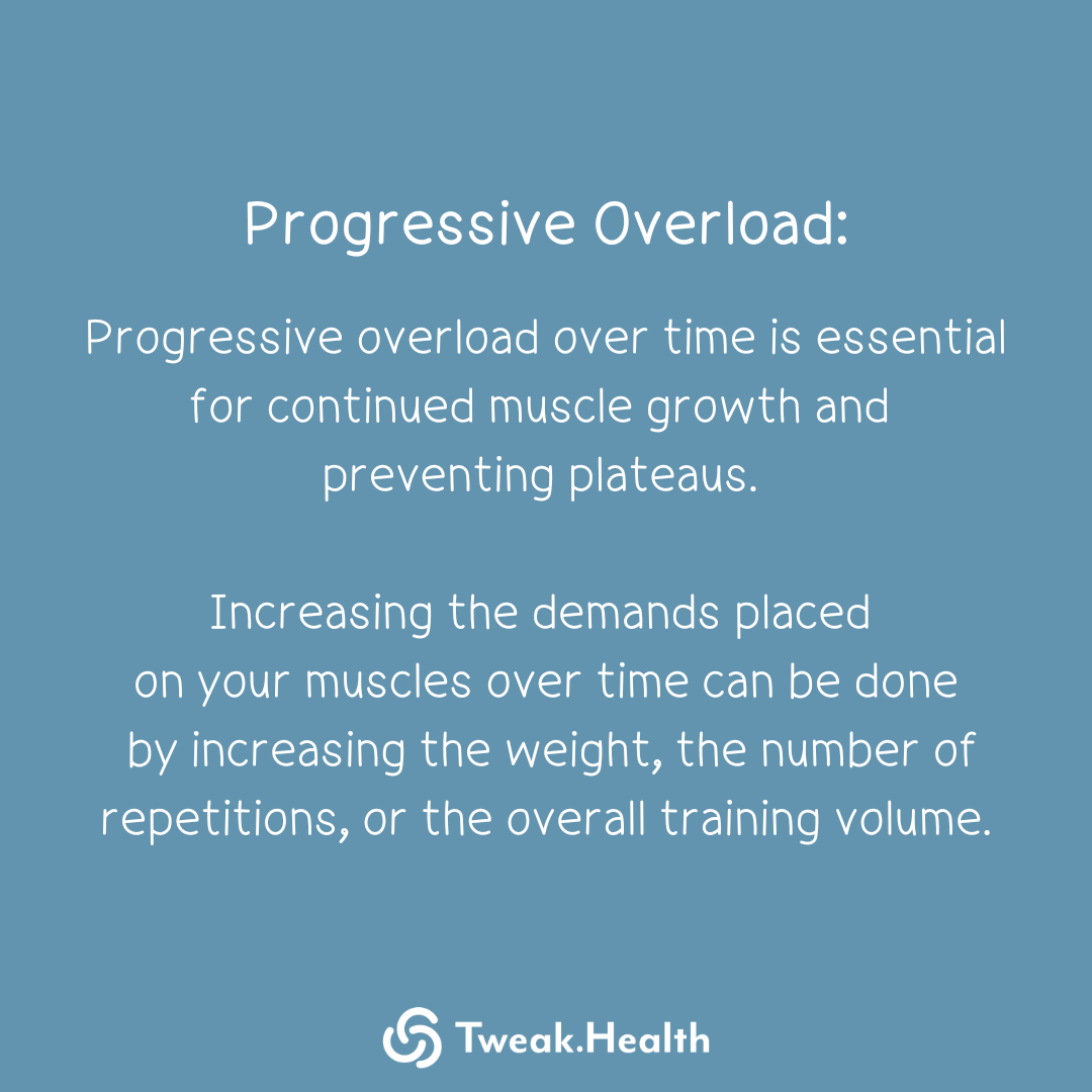 Bulk up Muscle Hypertrophy