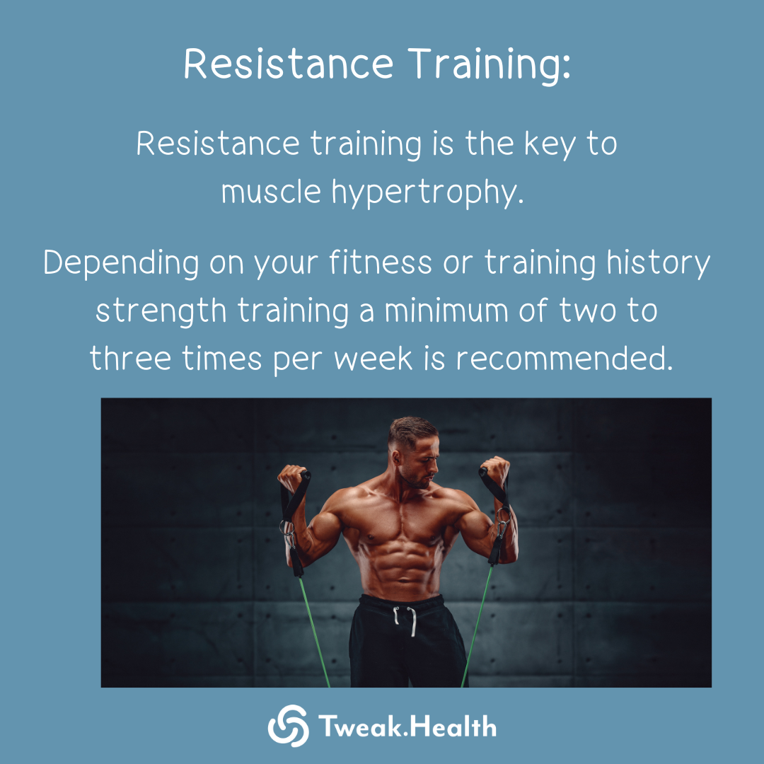 Bulk up Muscle Hypertrophy