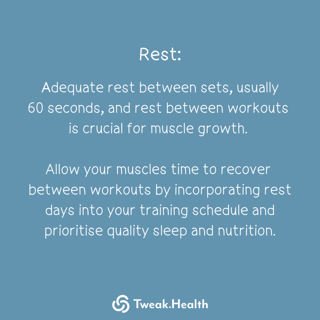 Bulk up Muscle Hypertrophy