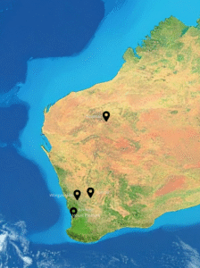 Map of Western Australia showing Tweak Health Physio clinic locations in Mount Pleasant, Belmont, Wongan Hills, Koorda, and Newman