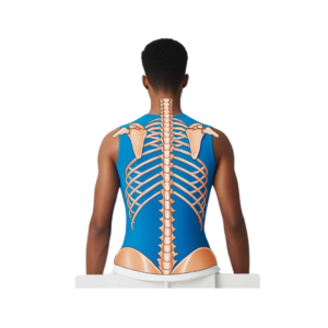 Physiotherapist demonstrating correct posture to patient