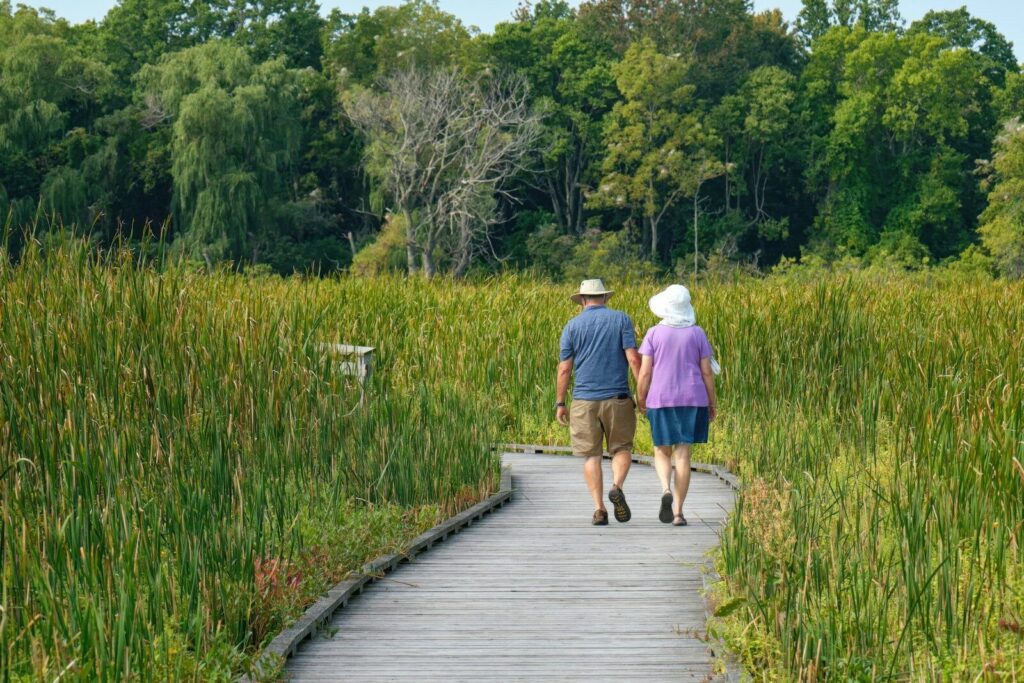 Couple walking on a wooden boardwalk through tall grass